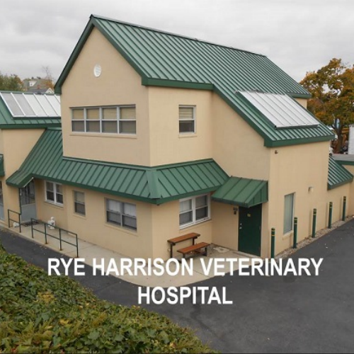 Rye Harrison Veterinary Hospital